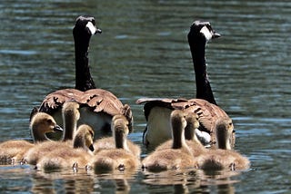 Familie: Schicksalsgemeinschaft statt, Zweckgemeinschaft