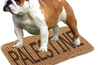 Hamas & Gaza — A Debate