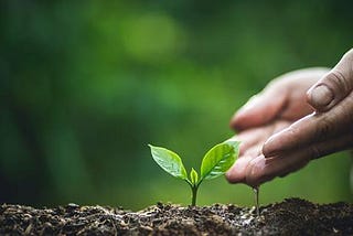 Stewardship: The Unexpected Path to True Sovereignty