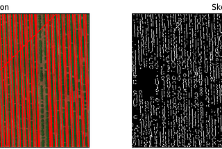 Crop Row Detection using Python and OpenCV