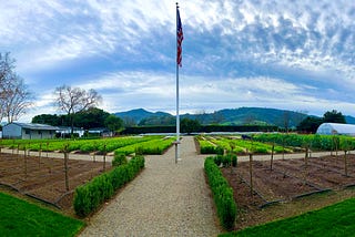 Washington Street, Yountville