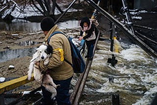 How to help your dog/cat survive the war in Ukraine