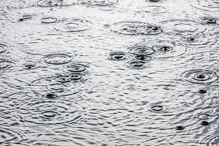 Neptune Puddle Talk