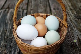 O sentido da vida é não colocar todos os ovos em uma cesta só