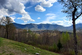 Trail Running for Reflection