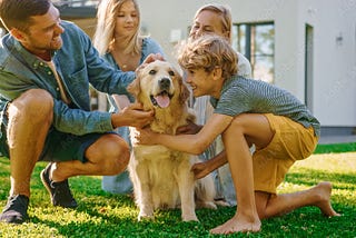 5 Best Dog Breeds for Families and Kids — How to Find the Perfect Dog for Your Family!