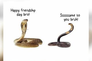 20 Friendship Day Memes: Celebrate International Friendship Day with a Laugh