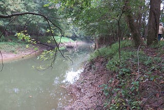 On Brazeau Creek