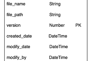 Design The Data Audit Trail Feature.