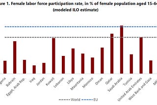 Women’s Economic Empowerment in the Middle East and North Africa Amid the Covid-19 Pandemic.