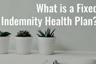 What is Fixed Indemnity Health Insurance?