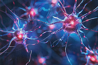 Amyloids: What Evolution Reveals About Them and Why They Turn Against Us