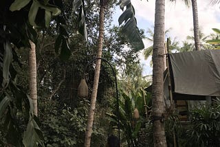 Ubud, Bali, Indonesia