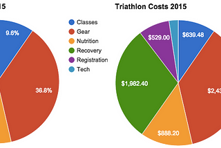 How much money did I spend on triathlon this year?