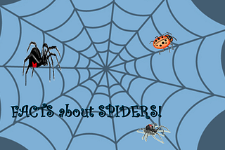 SPIDERS! ~by Angela V. Woodhull, Ph.D.