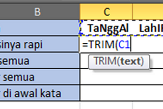 Changing Sentence Fonts in Ms. Excel