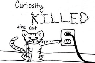 Curiosity Didn’t Kill The Cat