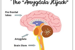 Amygdala: To flee, or not to flee