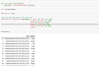 Put the file path and emotion of the audio file in a dataframe for easier processing