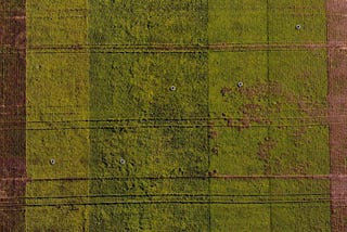 Aerial view of seven Arable Mark 2 devices in seed trial fields