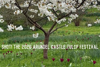 Shot! The 2026 Arundel Castle Tulip Festival