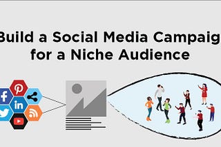 How to Build a Social Media Campaign for a Niche Audience?