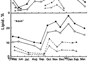 Yellowtail and Seasons