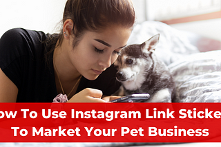 How To Use Instagram Link Stickers To Market Your Pet Business