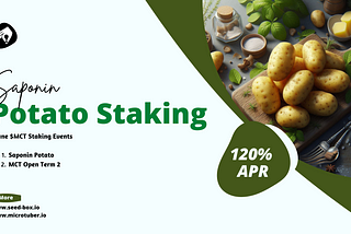 Saponin Potato & MCT Open Term 2 Staking Event