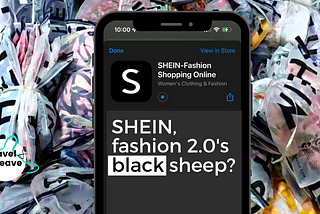 https://www.linkedin.com/in/ruzureau/ sustainable fashion expert on fast fashion success story Shein