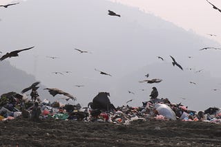 Waste Crisis in Kathmandu Valley