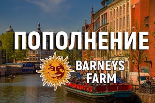 🌞 Свежее пополнение от BARNEYS FARM в Pakaloco