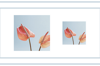 Guide: How to Compress Image Size Online for Free
