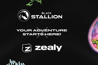 New Black Stallion Zealy (ex Crew3) Sprint