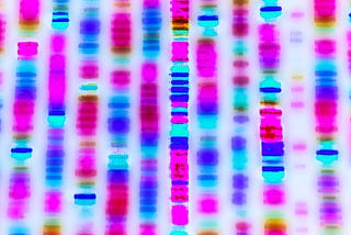 Introduction to the Human Genome