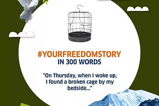 On Thursday, when I woke up, I found a broken cage by my bedside…