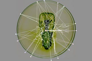 Presenting “Invisible Light,” the October Issue of Labocine