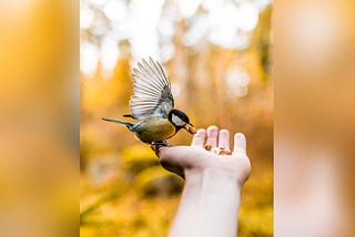 NATURE CREATIVE PHOTOGRAPHY — INSPIRING PHOTOGRAPHY IDEAS!