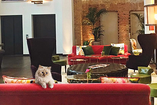 Meet the Muse: @choupettesdiary