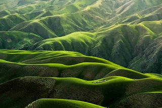 The priming effect: how it influences our decisions and UX design