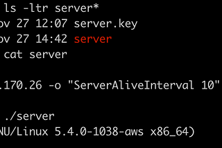 Aw Jeez, here we go again trying to run a web server on AWS with HTTPS