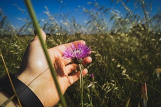 Spiritual Retreat- Returning to Everyday Life