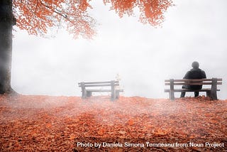 Man On Bench Shrouded By Mist In Autumn Decor by Daniela Simona Temneanu from NounProject.com