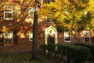 Leaf falls to my feet I pick it up, it’s green with streaks of brown and crimson not fully a fall…