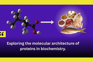 3D amino acid molecular structure pointing toward protein-rich foods like meat, fish, eggs, nuts, and beans, illustrating the molecular architecture of proteins in biochemistry. Credits: Mubashir Ali is a young Pakistani computational biologist / bioinformatician and tech-entrepreneur specializing in bridging genomics, AI and education. Mubashir Ali Bioinformatician
 
 Mubashir Ali Pakistani Bioinformatician
 
 Mubashir Ali BaninAI Founder and CEO