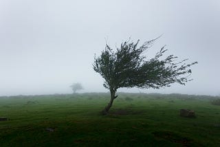 How Do You Stay Grounded In The Storm?