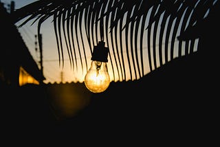 A glowing, incandescent, clear lightbulb, with a palm frond and sunset behind.