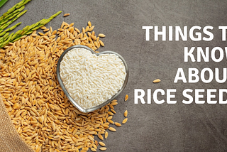 Things to know about rice seeds