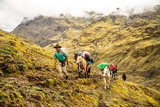 Lares Trek Hike in Peru