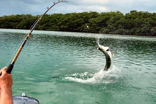 Fishing in Naples, Florida